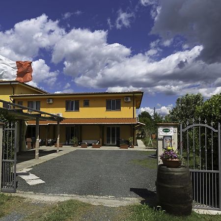 Albergo Luisss Grosseto Dış mekan fotoğraf